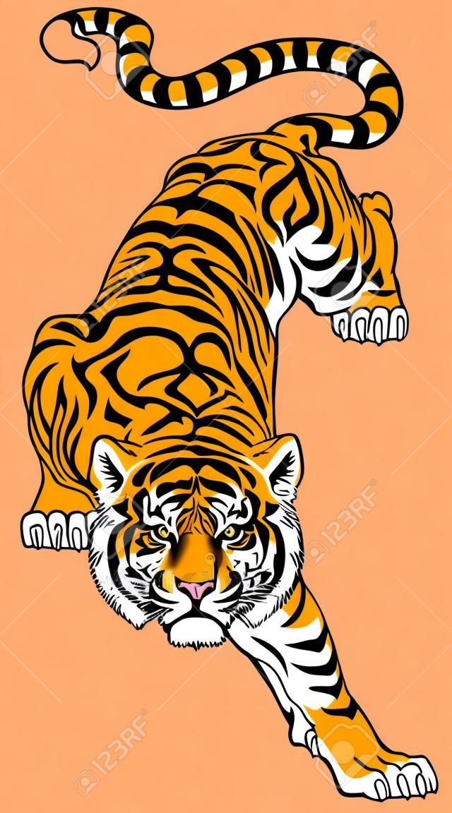 Tigre descendo e grandes olhos de gato olhando em linha reta. Imagem de vista frontal isolada. Ilustração vetorial estilo tatuagem