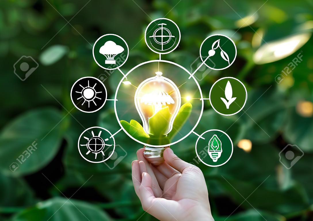 手拿著燈泡反對自然在綠色的葉子與可再生，可持續發展的圖標能源。生態概念。美國航空航天局裝備的這個圖像的元素。