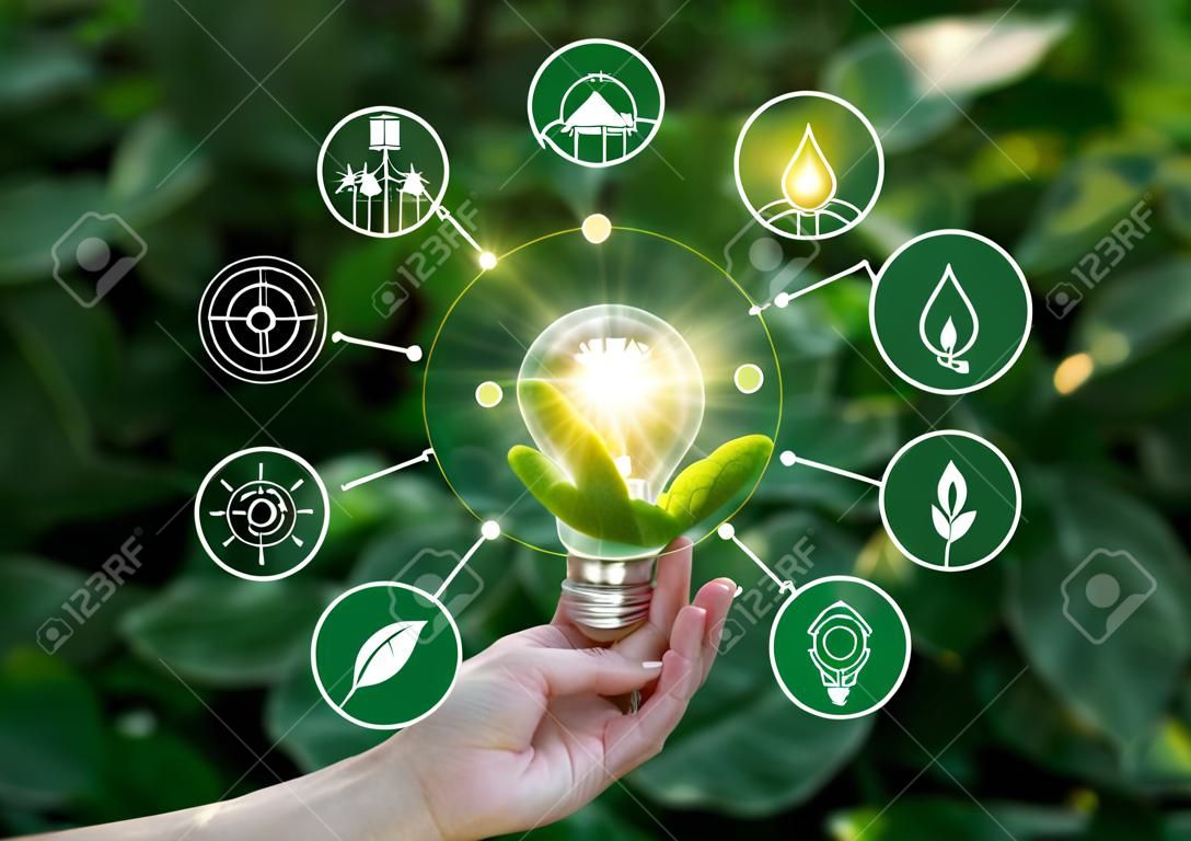 Рука, держащая лампочка против природы на зеленом листе с иконками источников энергии для возобновляемого, устойчивого развития. Экологическая концепция. Элементы этого изображения предоставлены НАСА.