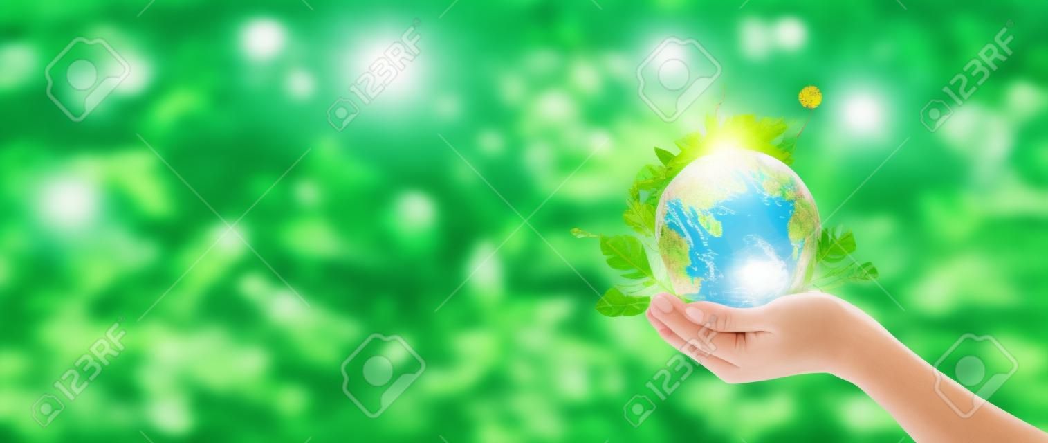 Hände schützen den Globus aus grünen Blättern und Bäumen vor tropischem Natursommerhintergrund, Ökologie und Umweltkonzept