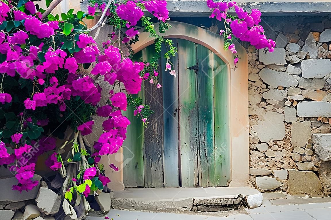 Porta de madeira velha e buganvillea em Creta