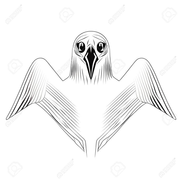 Bird American Eagle made from black lines on white background. Logo concept design, vector template for print, tatoo, team badge. Vector illustration .