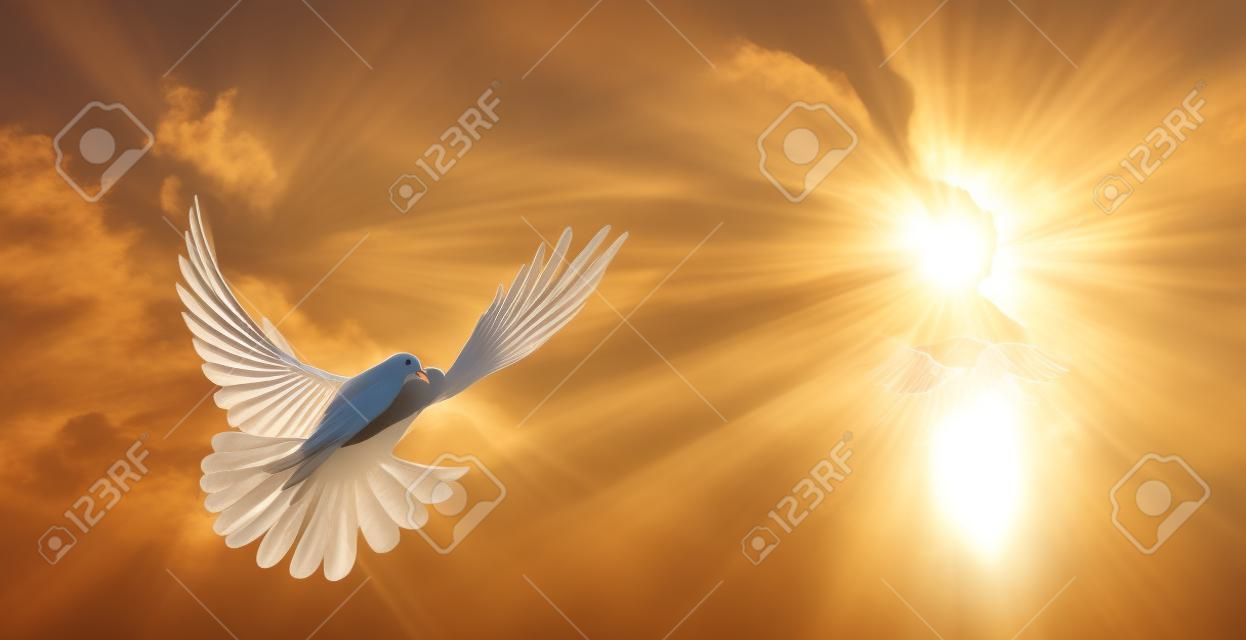 鳩の翼ワイド オープンの前に、太陽と大気中