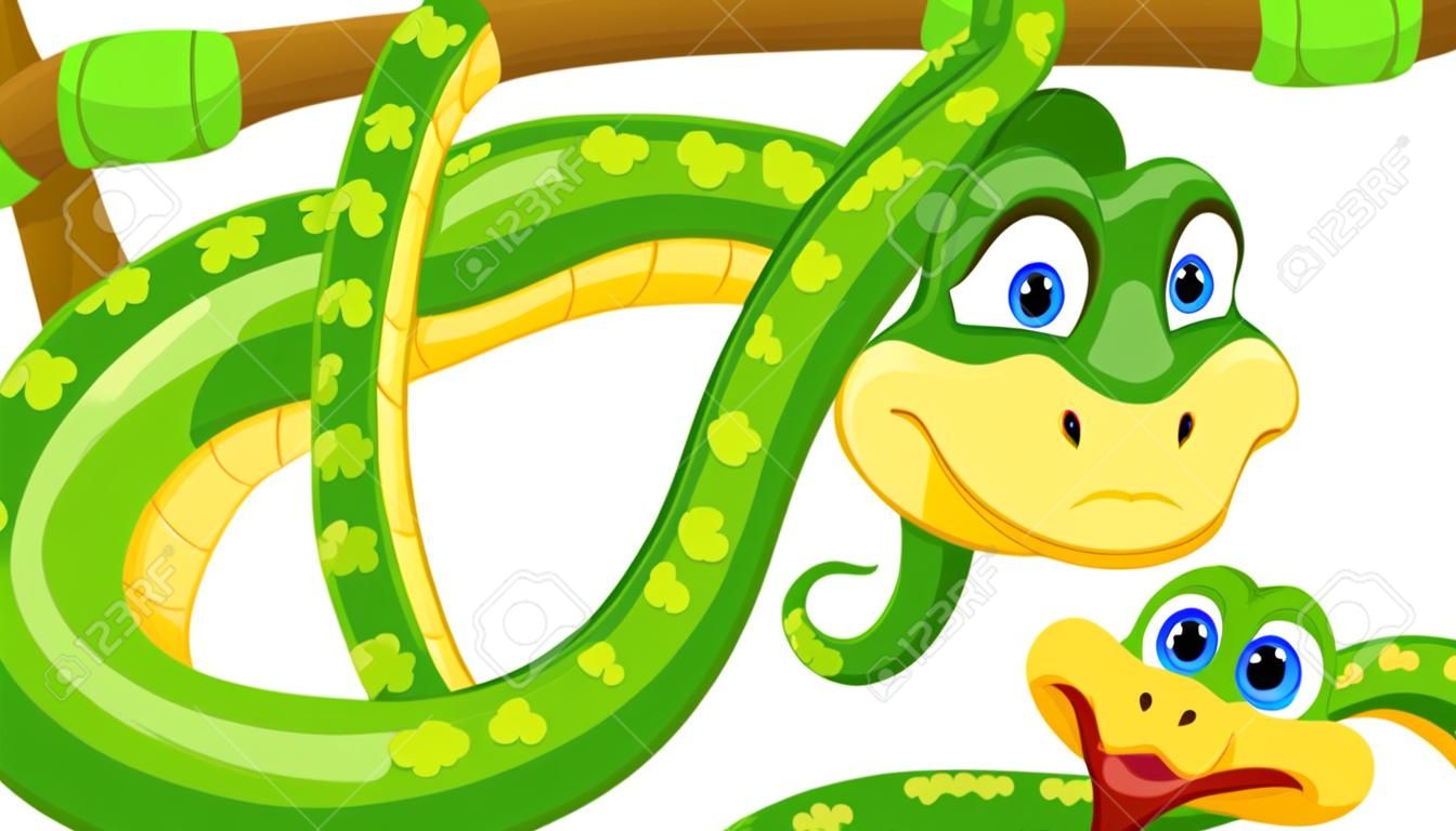 Serpente simpatico cartone animato sul ramo