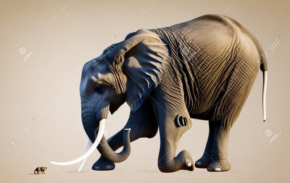 Elefante africano arrodillado frente a un ratón, aislado en blanco
