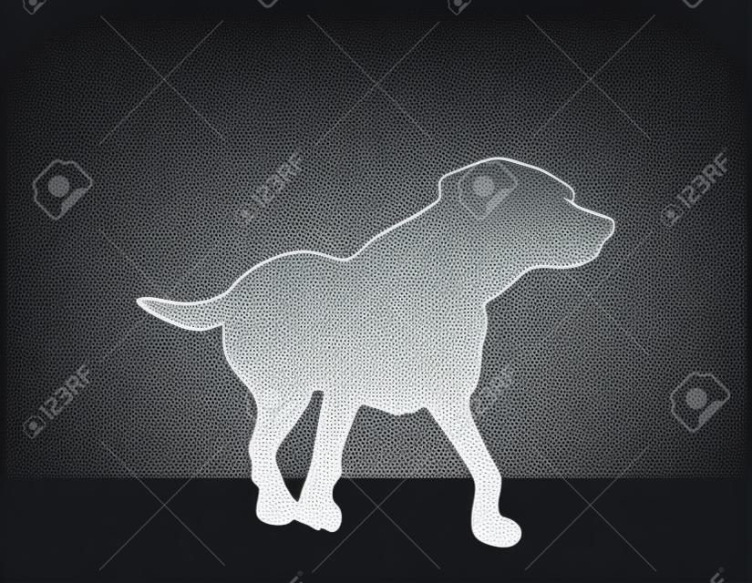 Векторное изображение - Собака силуэт в стандартной позе, изолированные на белом фоне