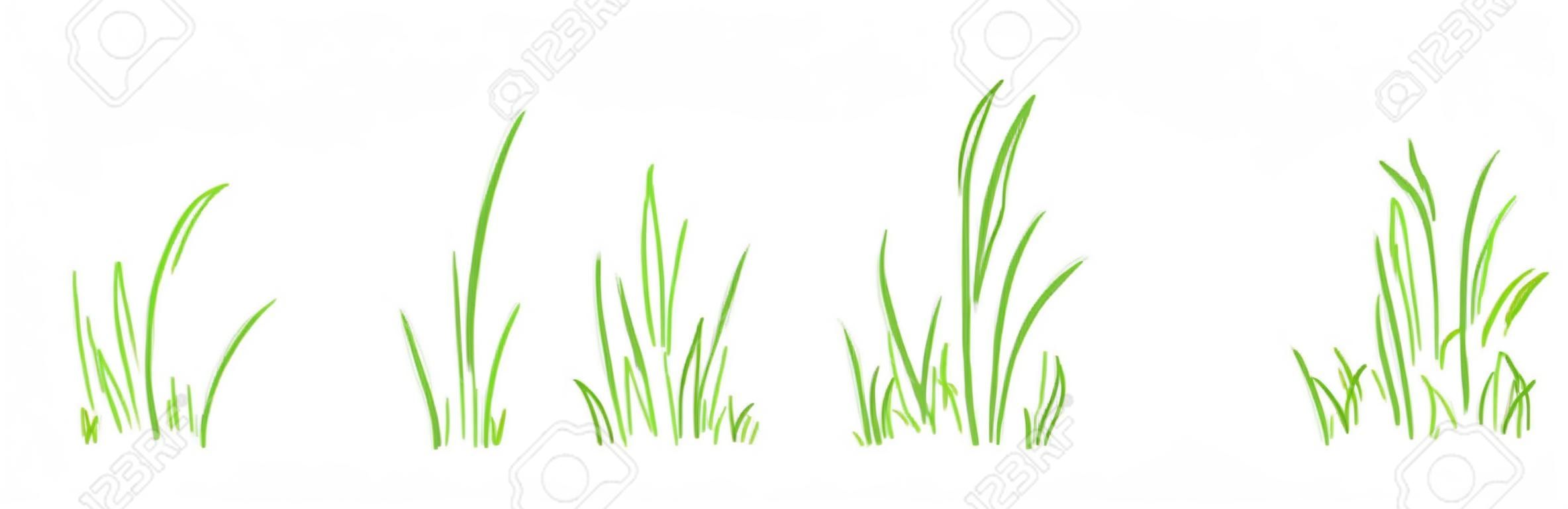 Trawa krzak linii wektor zestaw wyciągnąć rękę, elementy szkicu łąka i krajobraz, trawnik bazgroły, projekt zarys zielonej granicy na białym tle. ilustracja natura