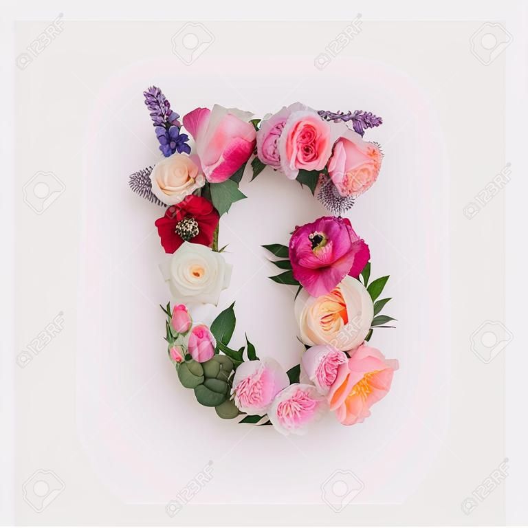 진짜 천연 꽃과 잎으로 만든 숫자 5. 꽃 글꼴 개념입니다. 문자와 숫자의 고유한 모음입니다. 봄, 여름, 발렌타인의 창의적인 아이디어.