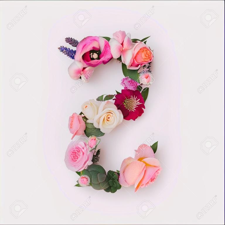 진짜 천연 꽃과 잎으로 만든 숫자 5. 꽃 글꼴 개념입니다. 문자와 숫자의 고유한 모음입니다. 봄, 여름, 발렌타인의 창의적인 아이디어.