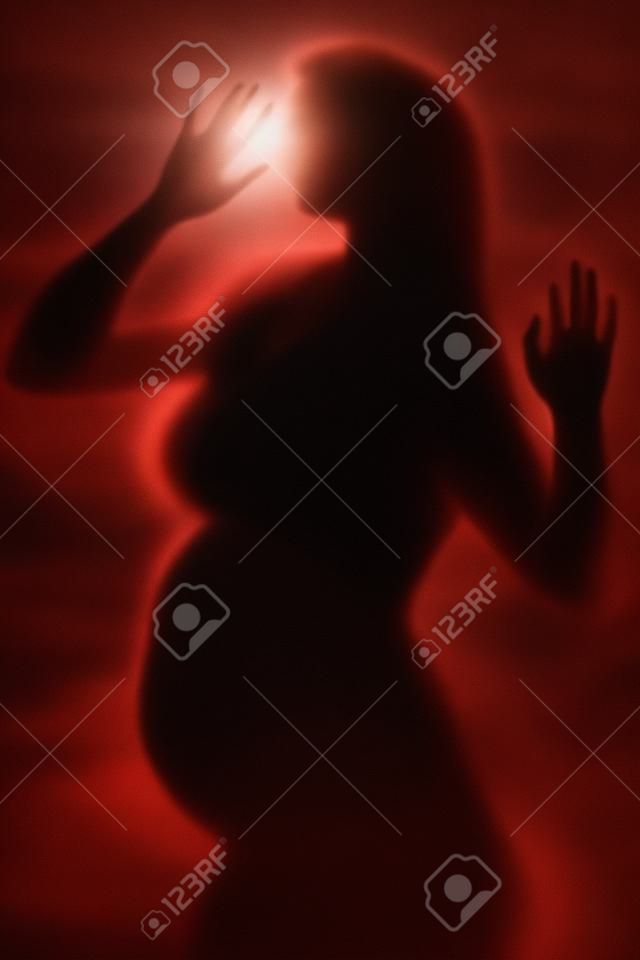 beautiful silhouette of a young beautiful pregnant woman on a light background