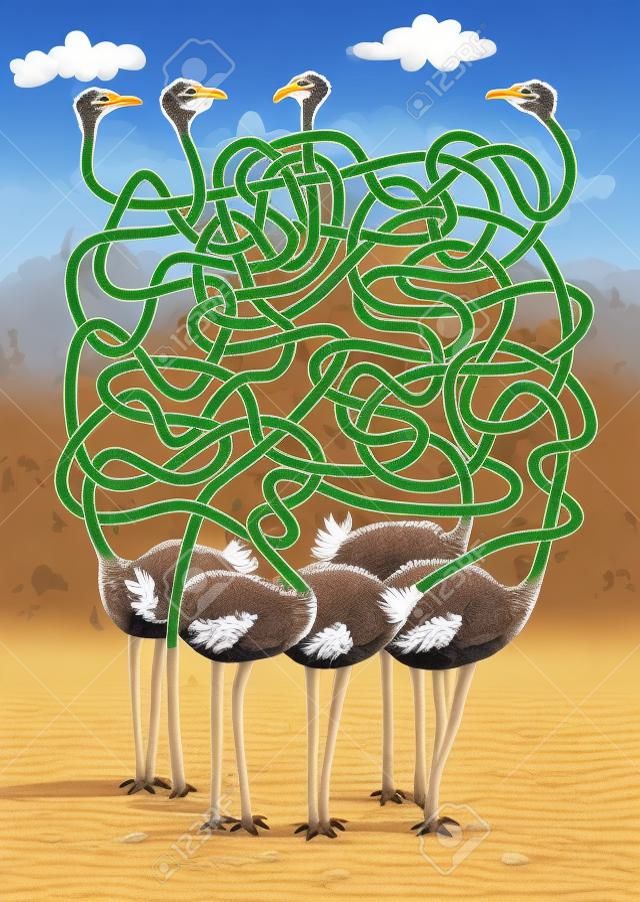 Five Ostriches : Maze Game Task: find which ostrich has head buried in the sand. 