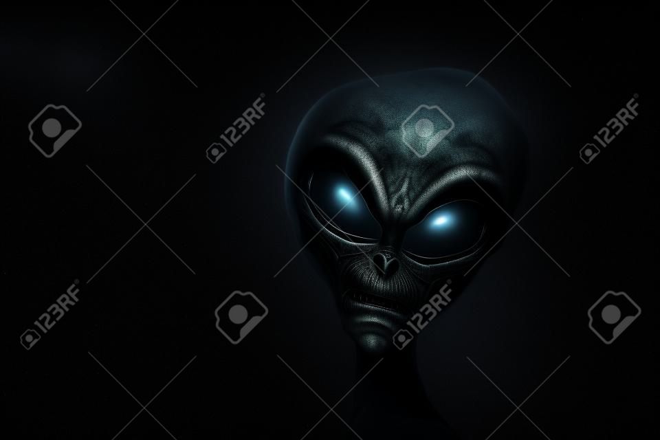 Alien face. Gray humanoid isolated on black background.