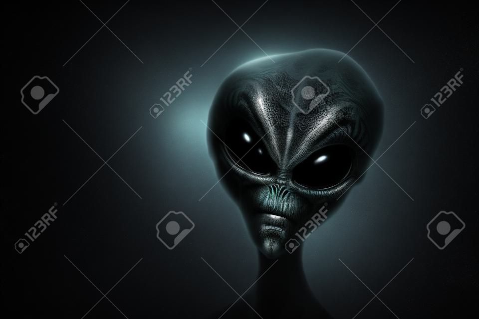Alien face. Gray humanoid isolated on black background.