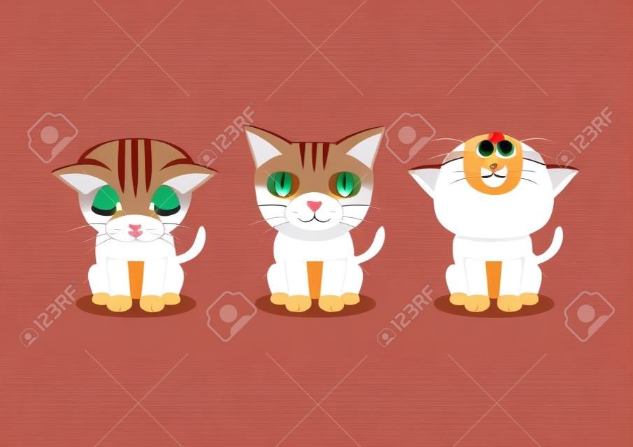 Vector cartoon character tabby cat poses for design.