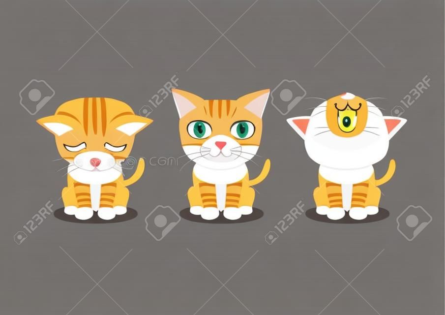 Vector cartoon character tabby cat poses for design.