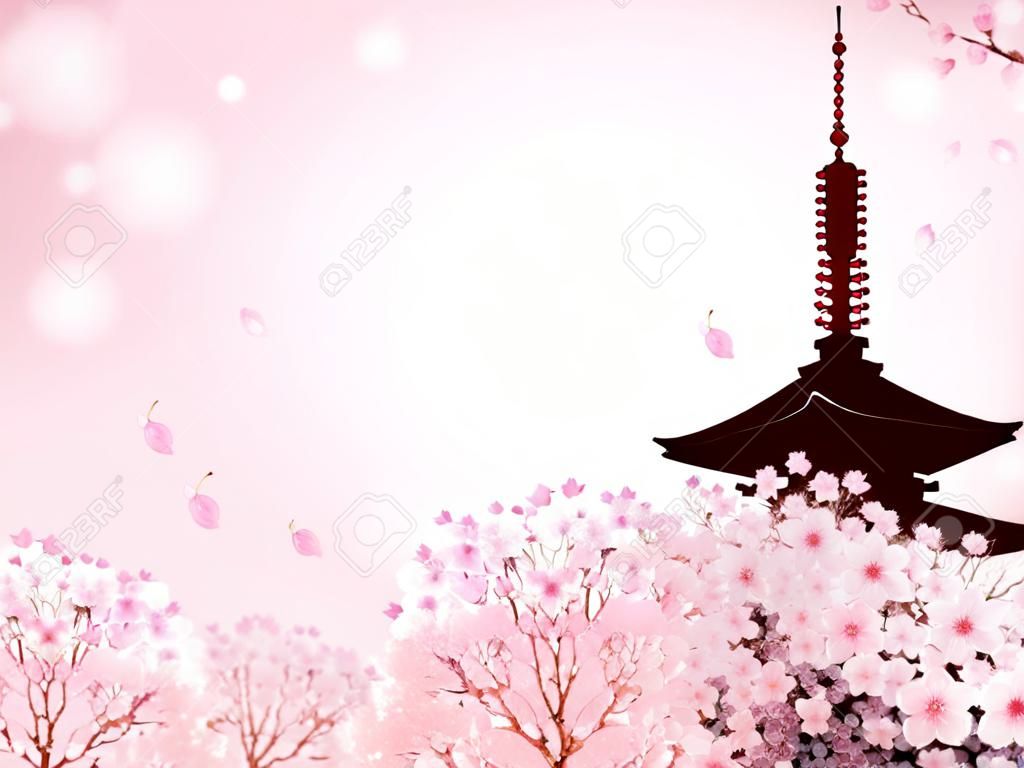 京都的櫻花背景