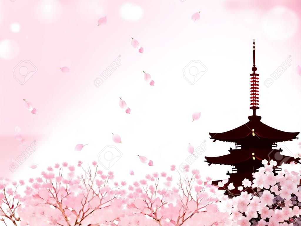 京都的櫻花背景