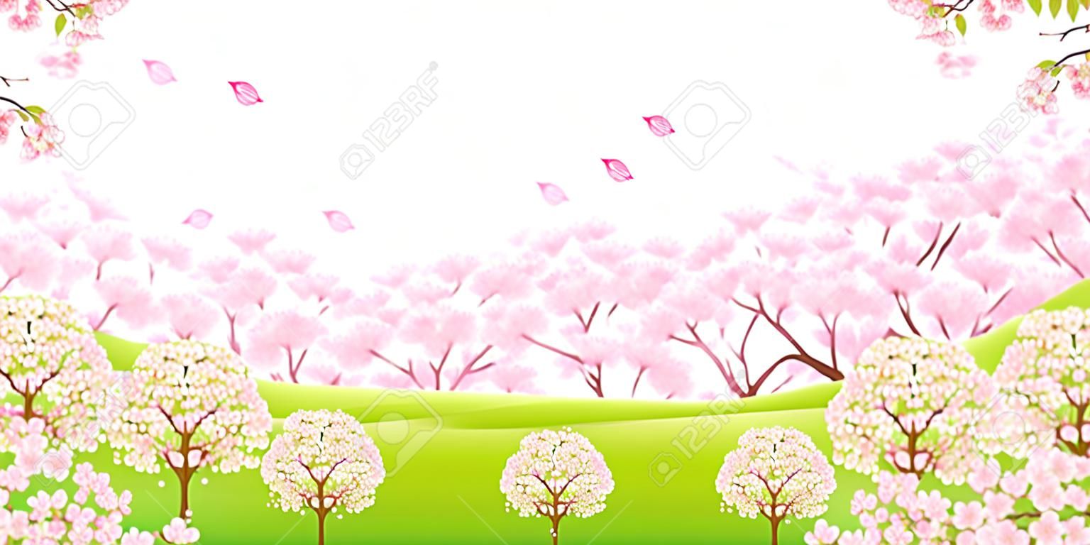 Fond de fleur de cerisier