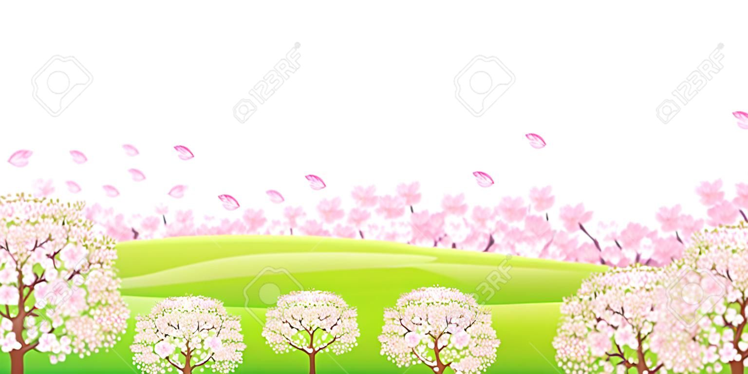 Kirschblüte Hintergrund