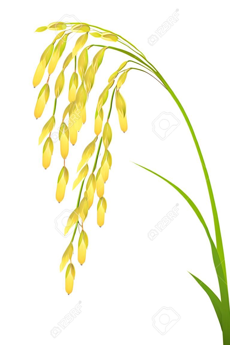 Icône d'automne de récolte de riz