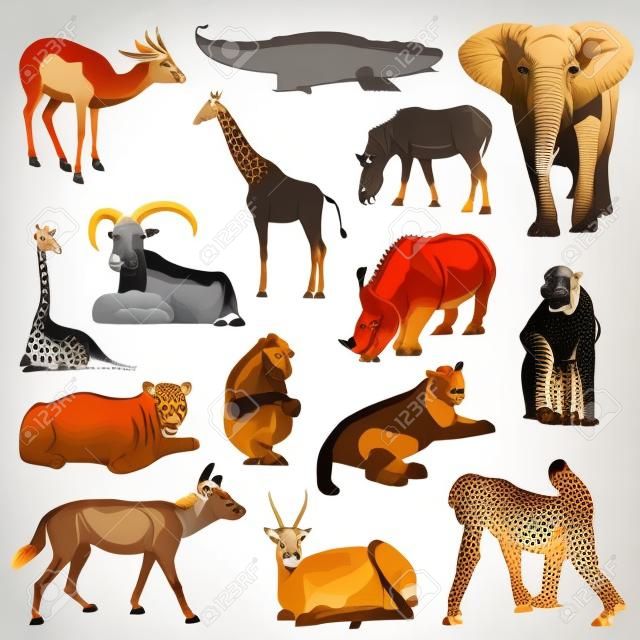 Set of african animals on white background with shade