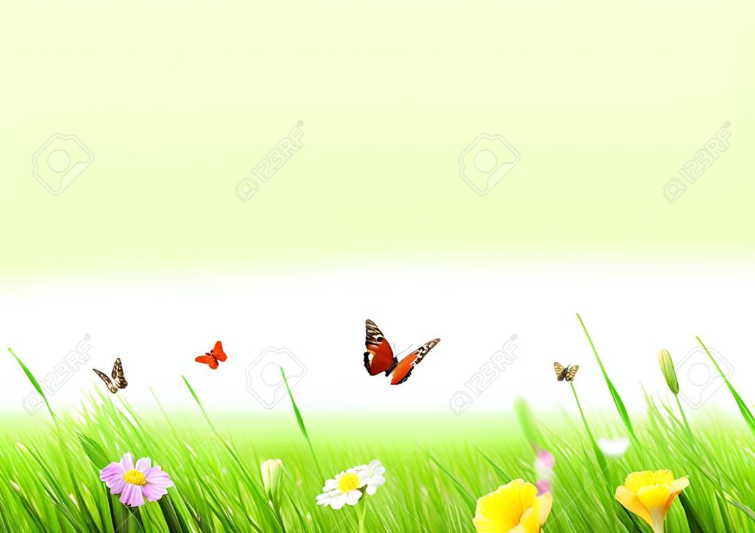 Spring meadow with white background