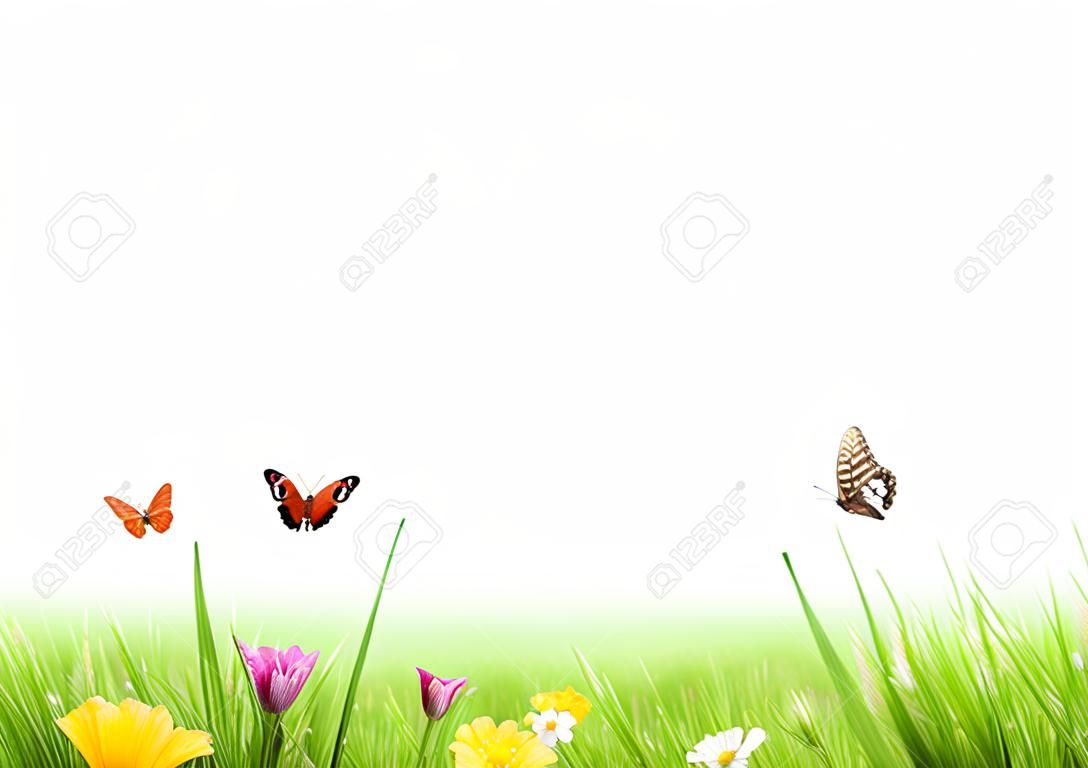 Spring meadow with white background