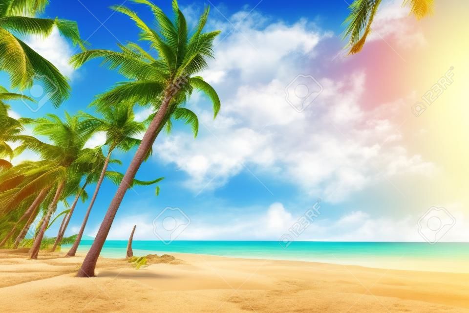 Paisaje de la palmera del coco en la playa tropical en verano. Concepto de fondo de verano.