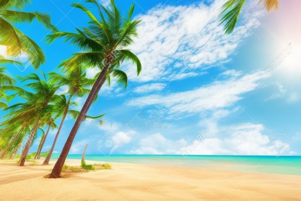 여름에 열 대 해변에서 코코넛 야 자 나무의 풍경. 여름 배경 개념입니다.