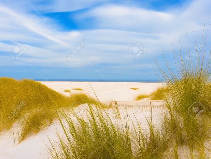 Красивый пейзаж дюн и длинный пляж на острове Amrum в Северном море, Шлезвиг-Гольштейн, Германия
