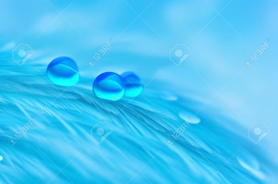 imagem abstrata de penas fofas de cor azul com gota de orvalho de água macro, belo fundo natural.