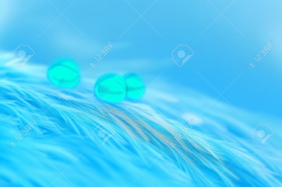 Abstrakcyjny obraz puszystych piór koloru niebieskiego z kroplą rosy wody makro, piękne naturalne tło.