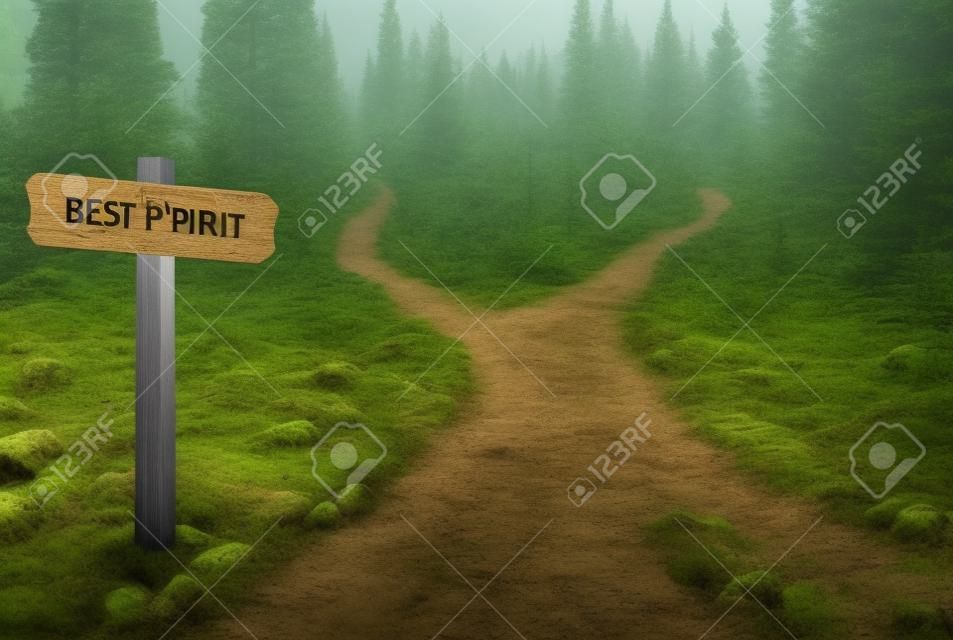 Mostrando un desdoblamiento en dos camino de entrar en el bosque con un cartel en blanco