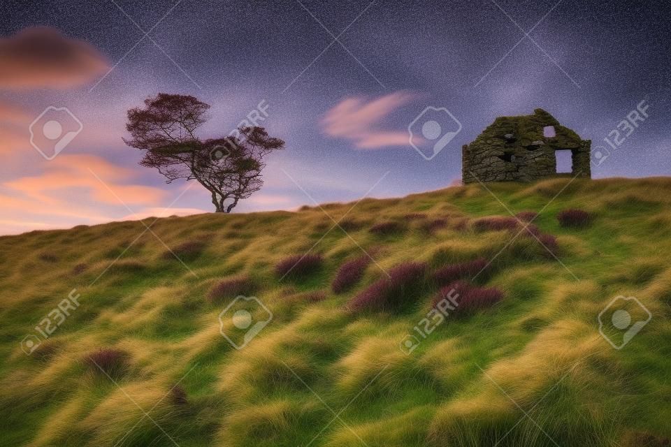 Heather & Croft Ruinen auf dem Cairn O Mount in Aberdeenshire, Schottland.