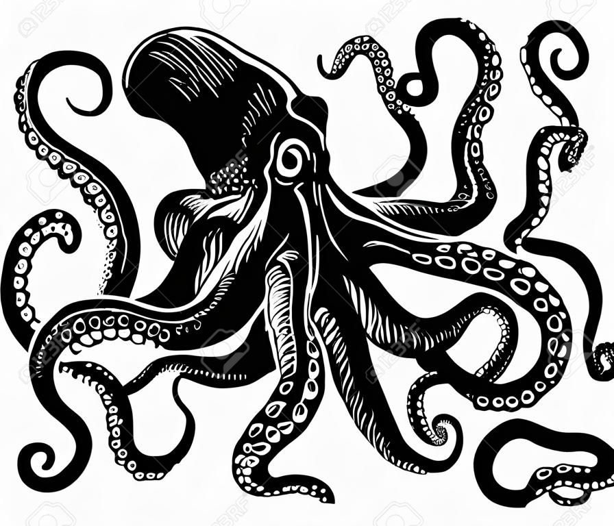 octopus vector illustration