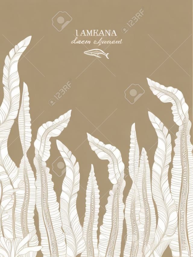 Esboço de laminaria desenhado à mão de tinta, emaranhado de mar doce, alga-de-japão, alaria, definido no fundo branco. Ilustração vetorial de algas marrons altamente detalhadas. Projeto de algas marinhas.