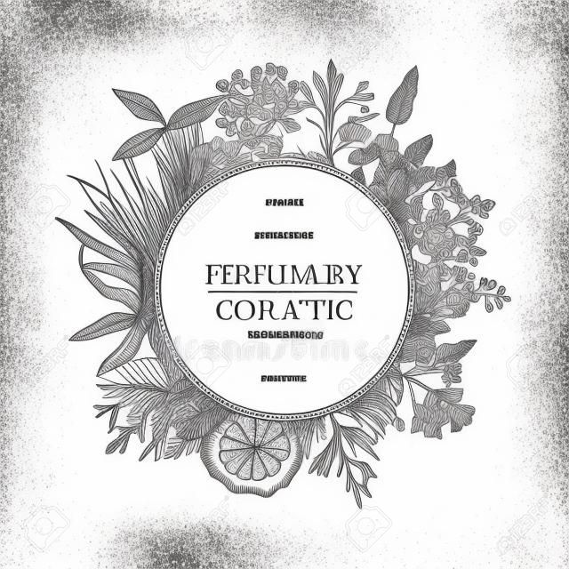 Vintage template. Ink hand drawn design with plants and fruits isolated on white. Vector illustration with highly detailed perfumery and cosmetics ingredients.