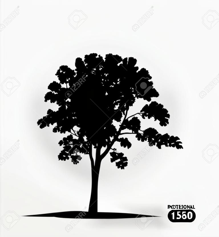 Tree silhouette. Illustrazione vettoriale.