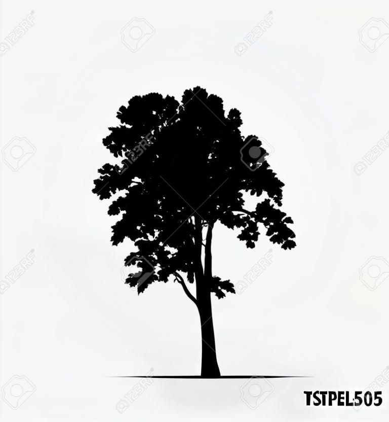 Tree silhouette. Illustrazione vettoriale.