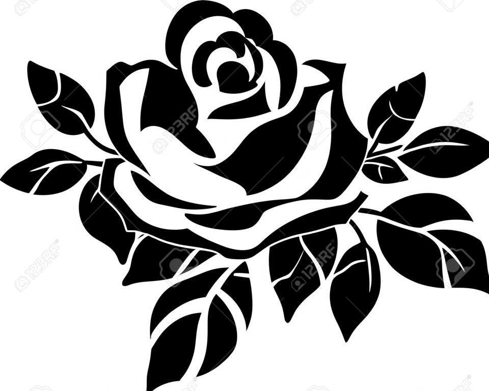 矢量玫瑰剪影孤立的白色
