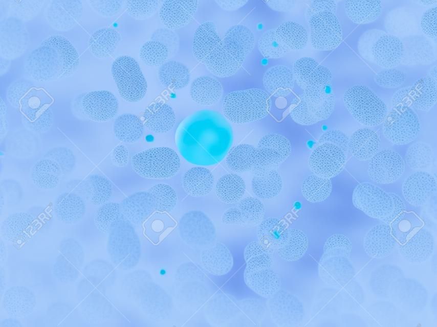 celular de neutrófilos (glóbulos blancos) en el frotis de sangre periférica
