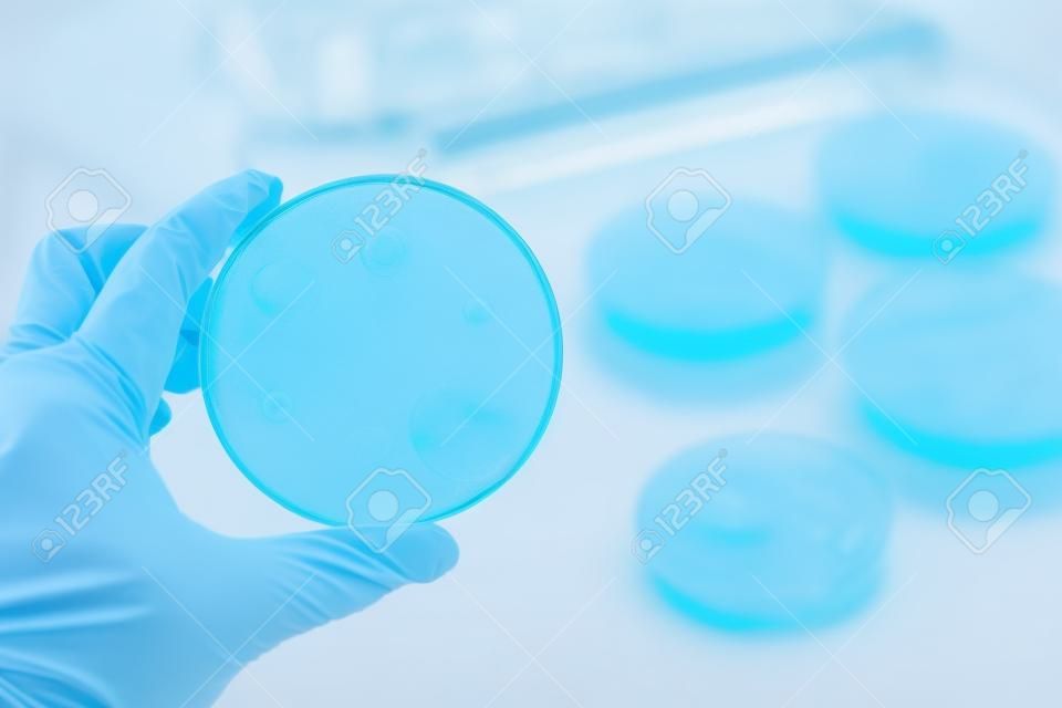 Az antimikrobiális fogékonyság vizsgálata Petri-csészébe