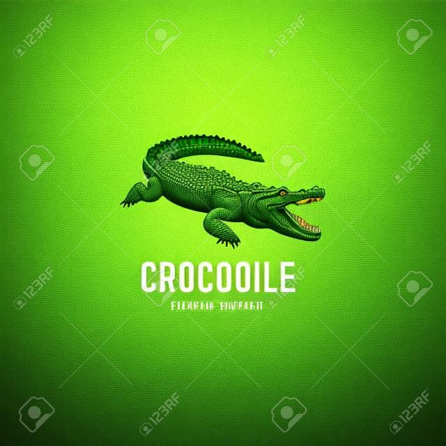 szablon logo krokodyla. Symbol aligatora, krokodyl z tekstem.