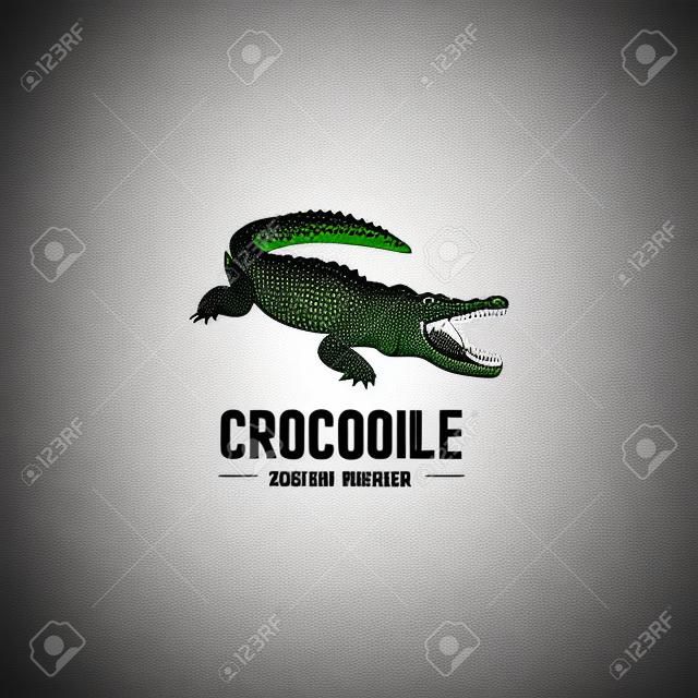 szablon logo krokodyla. Symbol aligatora, krokodyl z tekstem.