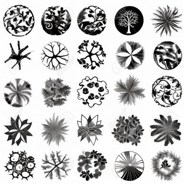 Eine Reihe von Baumkrone Symbole, für architektonische oder Landschaft Design schwarz und weiß