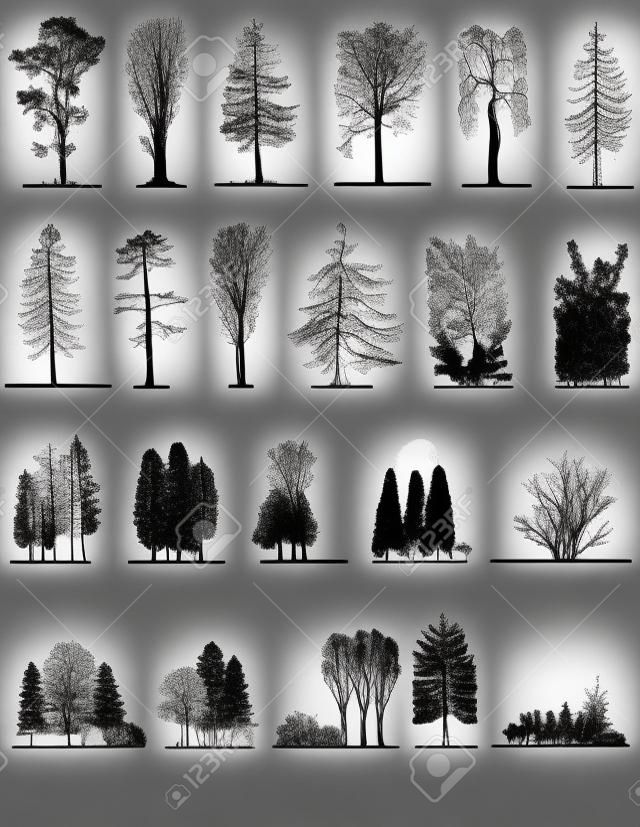 Een set boomsilhouetten, voor architectuur of landschapsontwerp, zwart en wit
