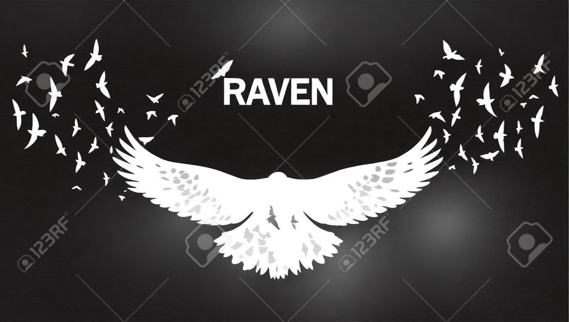 白色乌鸦剪影矢量图，黑色背景下飘动的翅膀，双重曝光效果。