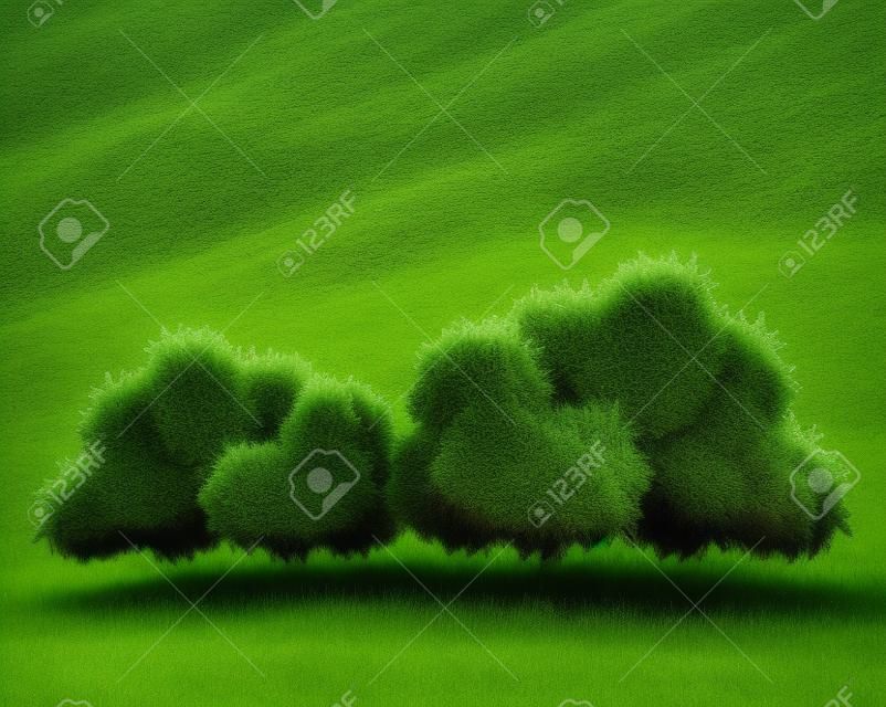 茂み自然野生画像