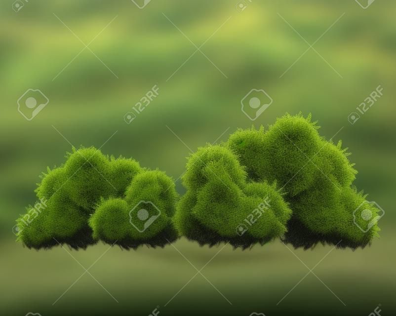 灌木自然野生形象