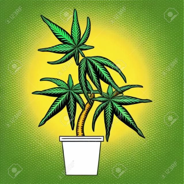 cannabis maconha maconha maconha medicinal sativa cânhamo planta desenho animado ilustração vetorial design gráfico